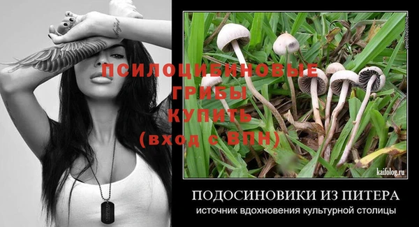 стафф Алексин