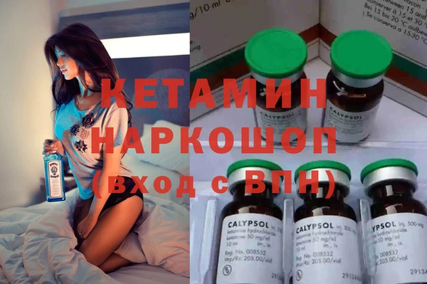 стафф Алексин