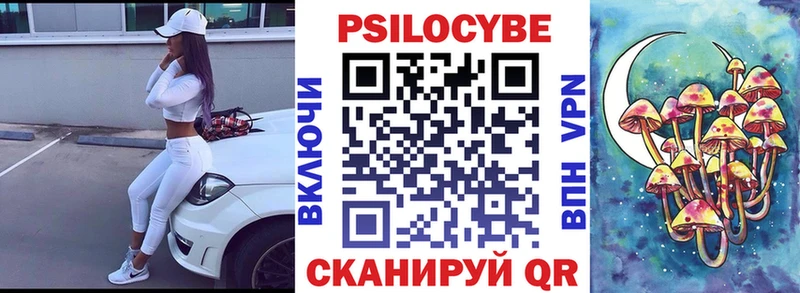 shop формула  Рошаль  Галлюциногенные грибы Psilocybe 